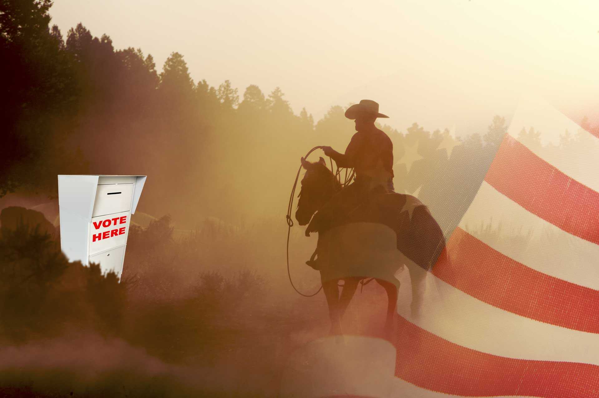 cowboy lasso ballot box